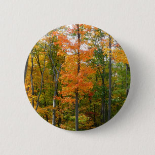 Chapa Redonda De 5 Cm Árboles de Arce de Otoño Fotografía de la Naturale