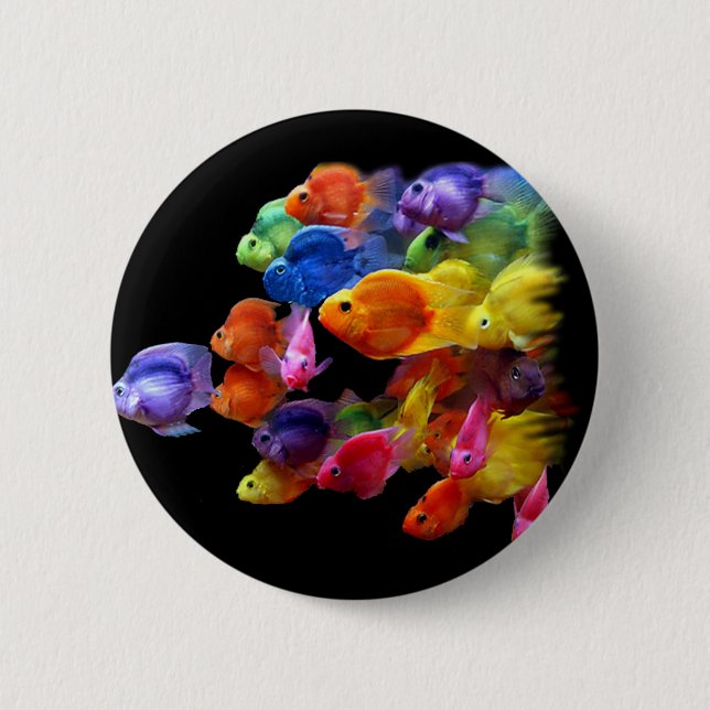 Chapa Redonda De 5 Cm Arco iris del pez papagayo (Anverso)