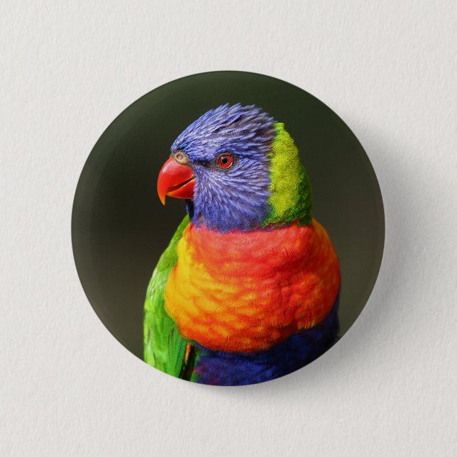 Chapa Redonda De 5 Cm Arco iris Lorikeet (Anverso)