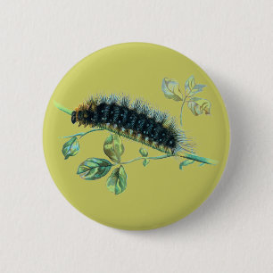 Chapa Redonda De 5 Cm Arctia caja caterpillar