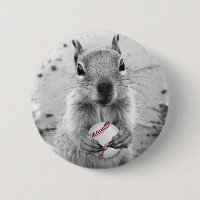 Ardilla de la reunión de Louis - béisbol