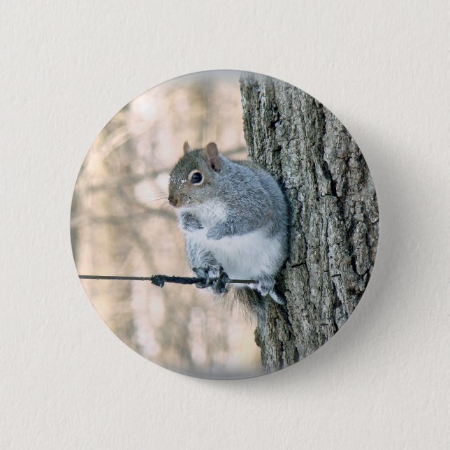 Chapa Redonda De 5 Cm ardilla gris - Sciurus carolinensis (Anverso)