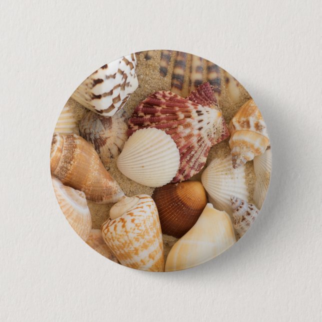 Chapa Redonda De 5 Cm Arreglo del Seashell (Anverso)