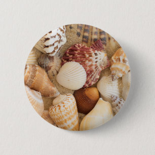 Chapa Redonda De 5 Cm Arreglo del Seashell