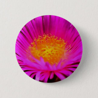 Chapa Redonda De 5 Cm Arte artístico de flores de aster rosa magenta