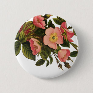 Chapa Redonda De 5 Cm Arte de ilustración de flores antiguas de rosa vin