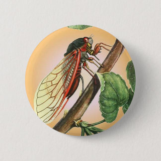 Chapa Redonda De 5 Cm Arte de Ilustracion de insectos Cicada