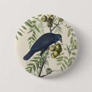 Chapa Redonda De 5 Cm Arte de la naturaleza del cuervo americano Audubon