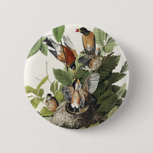 Chapa Redonda De 5 Cm Arte de nido de pájaro Robin americano Audubon vin