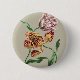 Chapa Redonda De 5 Cm Arte de Tulipán Botánico del Siglo XVIII Chic Vint