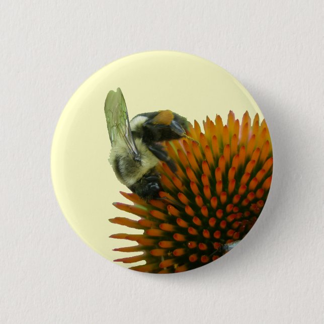 Chapa Redonda De 5 Cm Artículos de Abeja de Carpintero Oriental (Anverso)