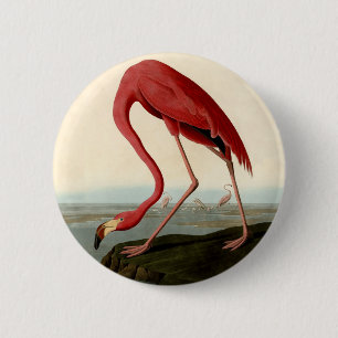Chapa Redonda De 5 Cm Audubon American Flamingo