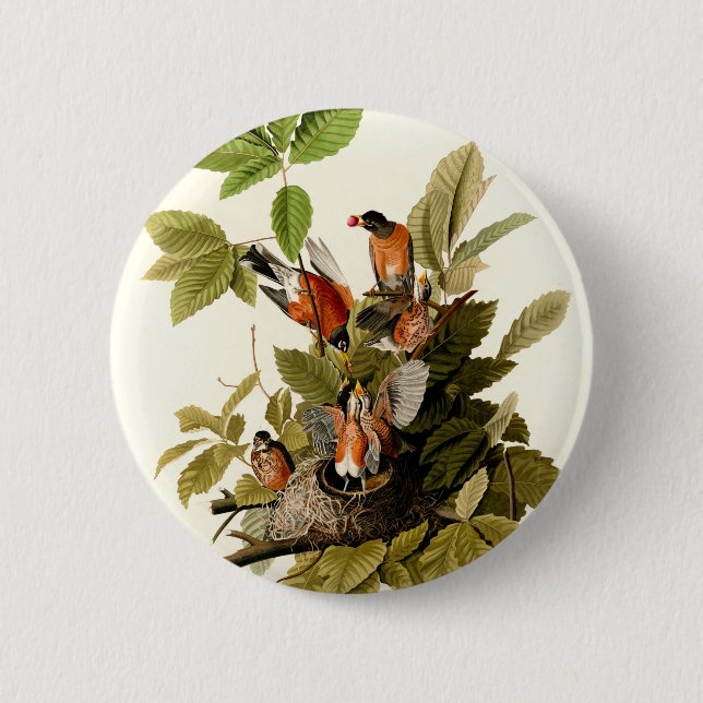 Chapa Redonda De 5 Cm Audubon American Robin Wildlife Bird Ilustracion (Anverso)