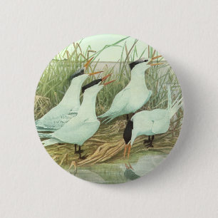 Chapa Redonda De 5 Cm Aves playeras vintage en una marisma de Louis Fuer