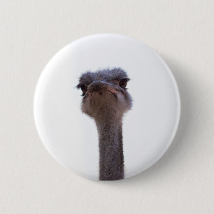 Chapa Redonda De 5 Cm avestruz