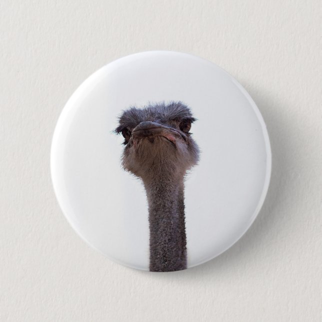 Chapa Redonda De 5 Cm avestruz (Anverso)