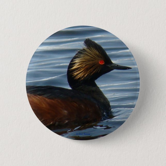 Chapa Redonda De 5 Cm B13 Eared Grebe (Anverso)
