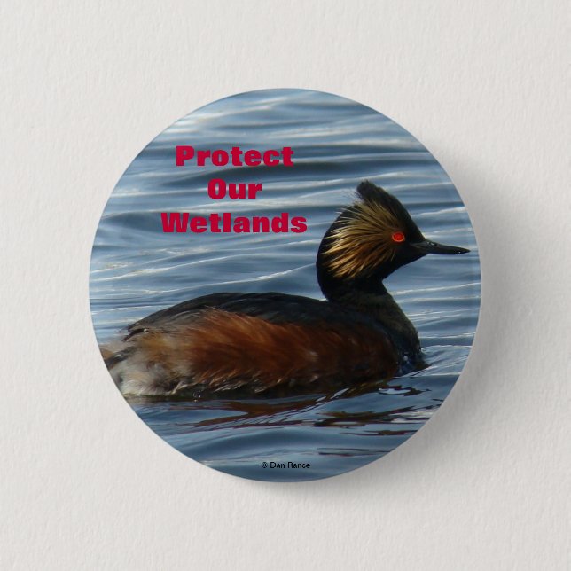 Chapa Redonda De 5 Cm B1 Eared Grebe (Anverso)