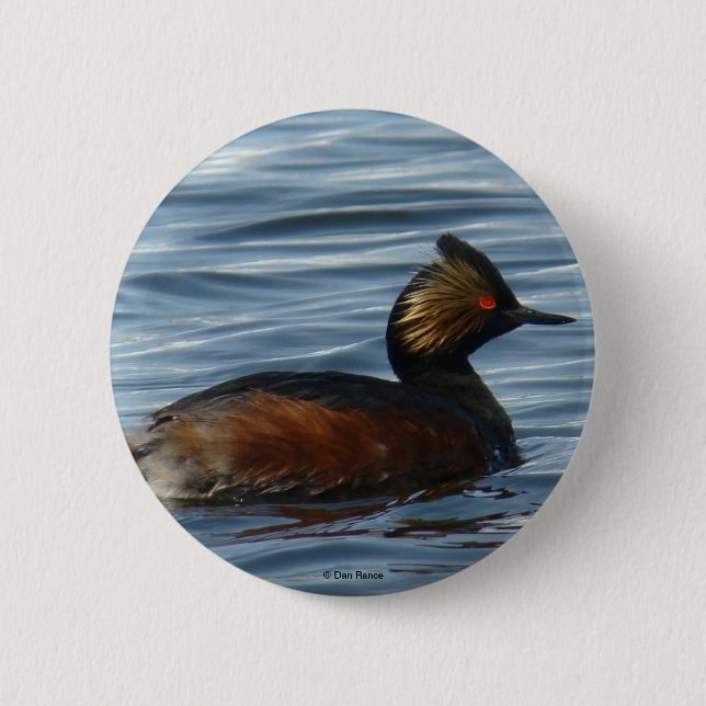 Chapa Redonda De 5 Cm B1 Eared Grebe (Anverso)