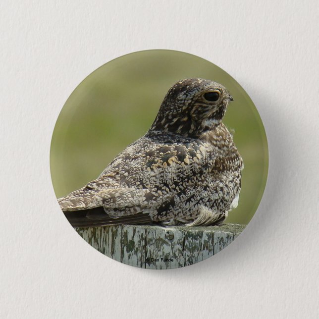 Chapa Redonda De 5 Cm B2 Nighthawk (Anverso)