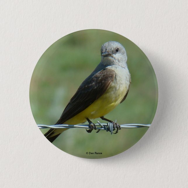 Chapa Redonda De 5 Cm B32 Kingbird (Anverso)