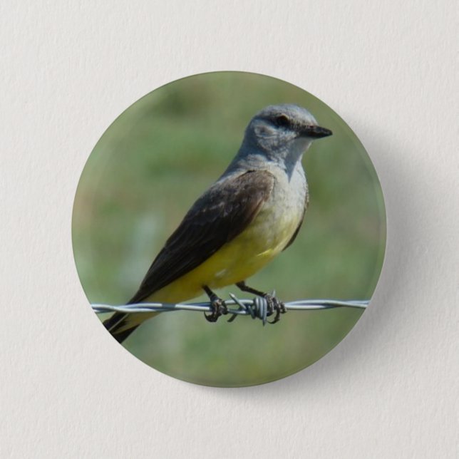 Chapa Redonda De 5 Cm B44 Western Kingbird (Anverso)