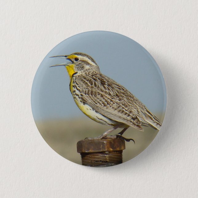 Chapa Redonda De 5 Cm B6 Meadowlark occidental (Anverso)