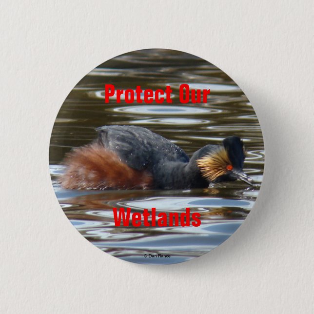 Chapa Redonda De 5 Cm B8 Eared Grebe Courting (Anverso)