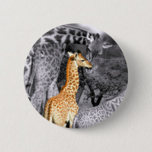 Chapa Redonda De 5 Cm Baby Giraffe