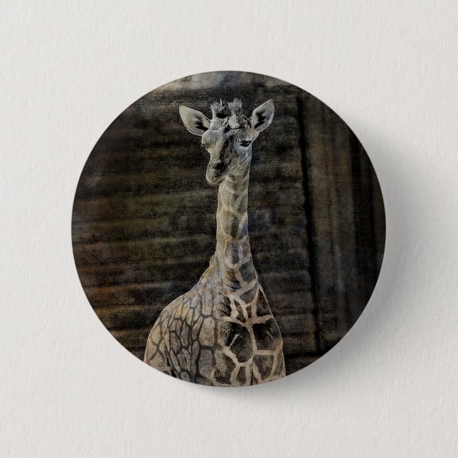 Chapa Redonda De 5 Cm Baby Giraffe (Anverso)