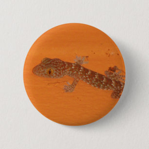 Chapa Redonda De 5 Cm Baby Tokay Gecko