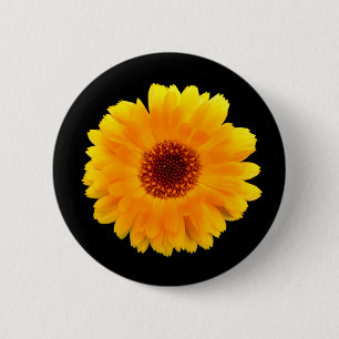 Chapa Redonda De 5 Cm Badge Calendula Officinalis