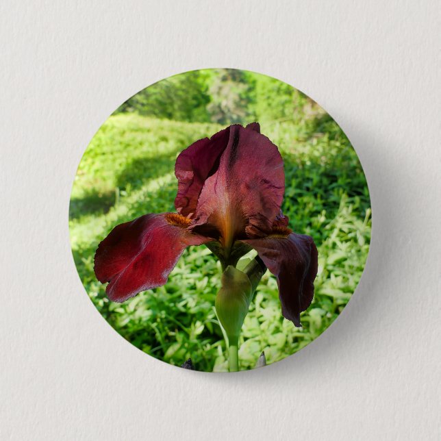 Chapa Redonda De 5 Cm Badge Iris Con Corchete (Anverso)
