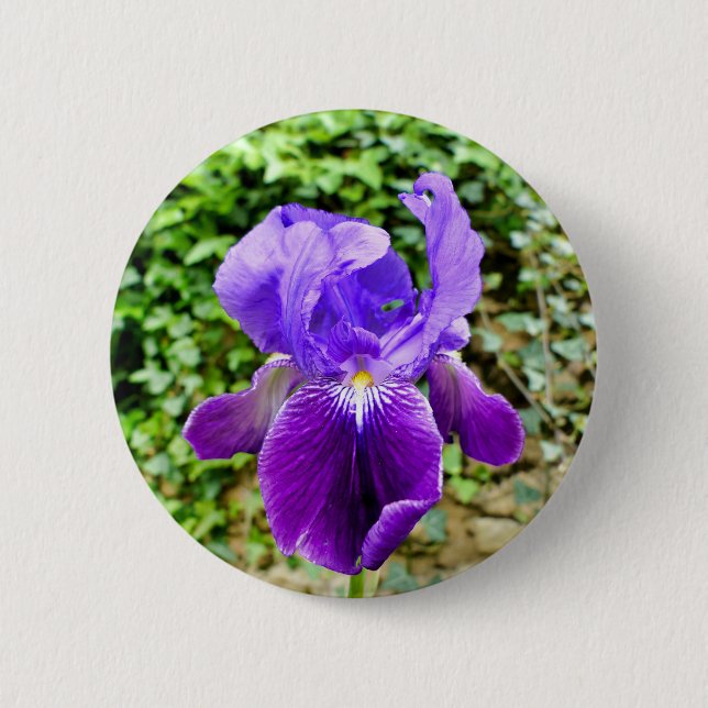 Chapa Redonda De 5 Cm Badge Iris Con Corchete (Anverso)