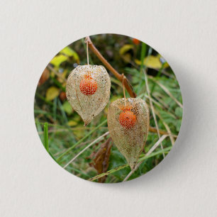 Chapa Redonda De 5 Cm Badge Physalis alkekengi