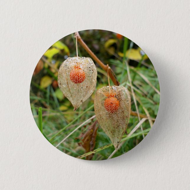 Chapa Redonda De 5 Cm Badge Physalis alkekengi (Anverso)