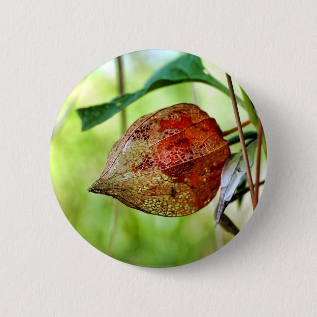Chapa Redonda De 5 Cm Badge Physalis alkekengi (Anverso)
