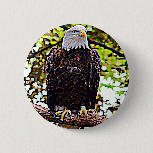 Chapa Redonda De 5 Cm Bald Eagle (Anverso)