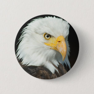 Chapa Redonda De 5 Cm Bald Eagle