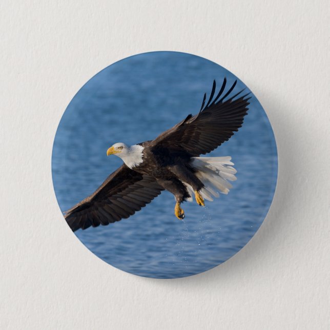 Chapa Redonda De 5 Cm Bald eagle in flight (Anverso)