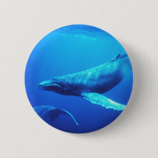 Chapa Redonda De 5 Cm Ballena jorobada