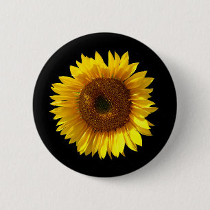 Chapa Redonda De 5 Cm Banda del girasol