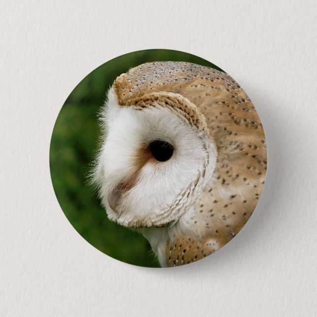 CHAPA REDONDA DE 5 CM BARN OWL (Anverso)