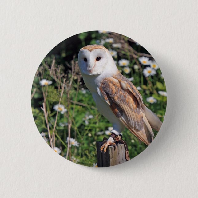 Chapa Redonda De 5 Cm Barn Owl (Anverso)