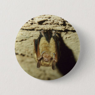 Chapa Redonda De 5 Cm Bat