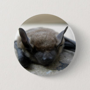 Chapa Redonda De 5 Cm Bate marrón pequeño (Myotis lucifugus)