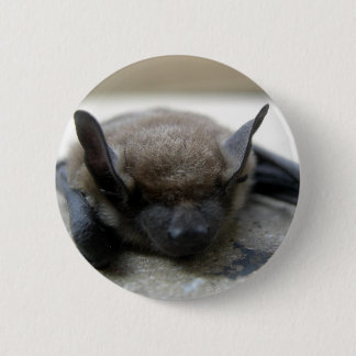 Chapa Redonda De 5 Cm Bate marrón pequeño (Myotis lucifugus)