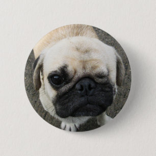 Chapa Redonda De 5 Cm Bauwk... Perro de pug... Tailandia