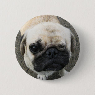 Chapa Redonda De 5 Cm Bauwk ... Perro Pug ... Tailandia