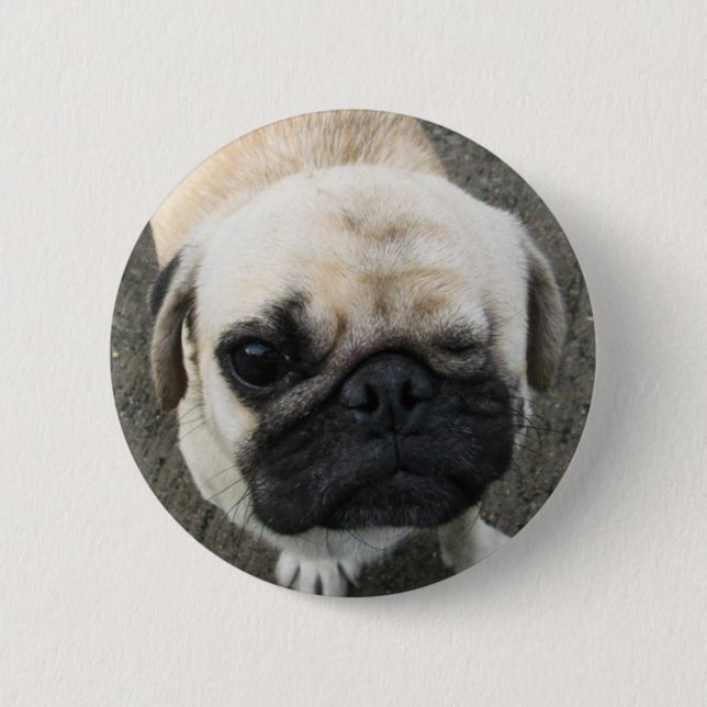 Chapa Redonda De 5 Cm Bauwk ... Perro Pug ... Tailandia (Anverso)